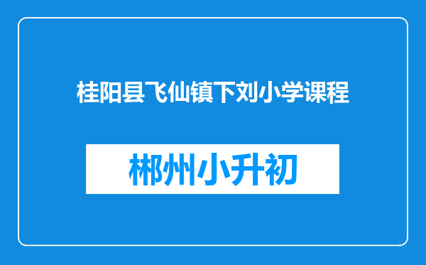 桂阳县飞仙镇下刘小学课程