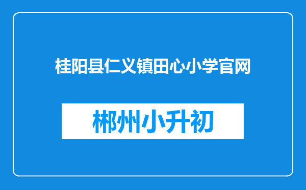 桂阳县仁义镇田心小学官网