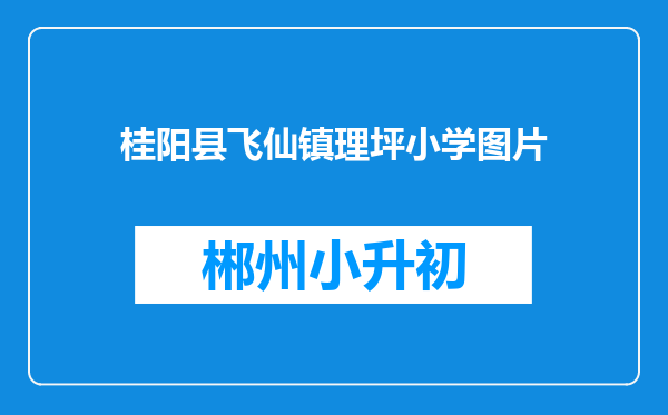 桂阳县飞仙镇理坪小学图片