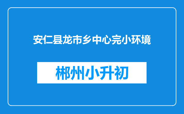 安仁县龙市乡中心完小环境