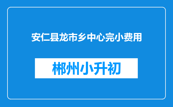 安仁县龙市乡中心完小费用