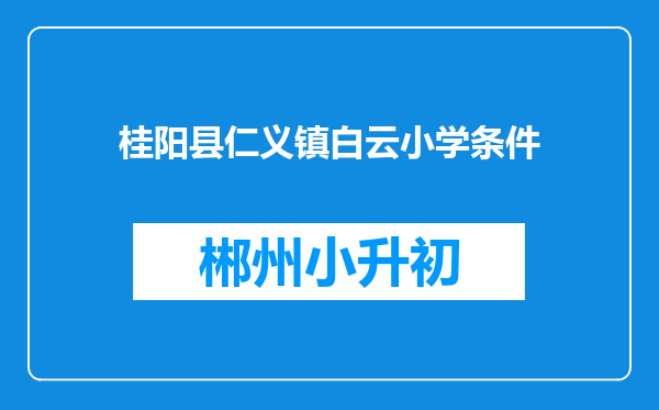桂阳县仁义镇白云小学条件