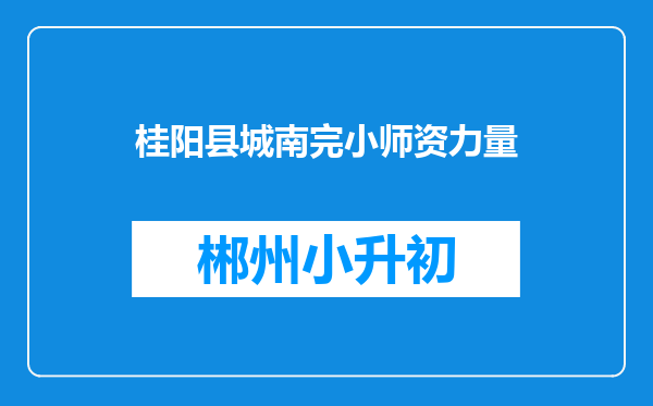 桂阳县城南完小师资力量