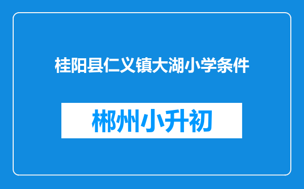 桂阳县仁义镇大湖小学条件
