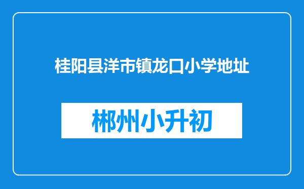 桂阳县洋市镇龙口小学地址
