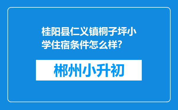 桂阳县仁义镇桐子坪小学住宿条件怎么样？