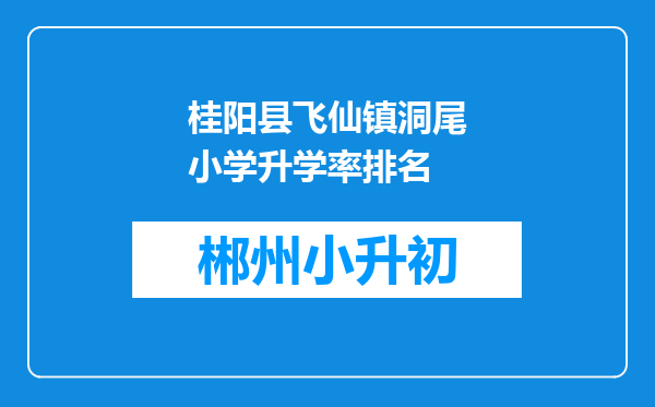 桂阳县飞仙镇洞尾小学升学率排名