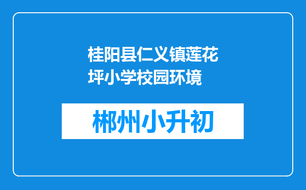 桂阳县仁义镇莲花坪小学校园环境
