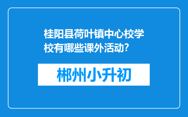 桂阳县荷叶镇中心校学校有哪些课外活动？