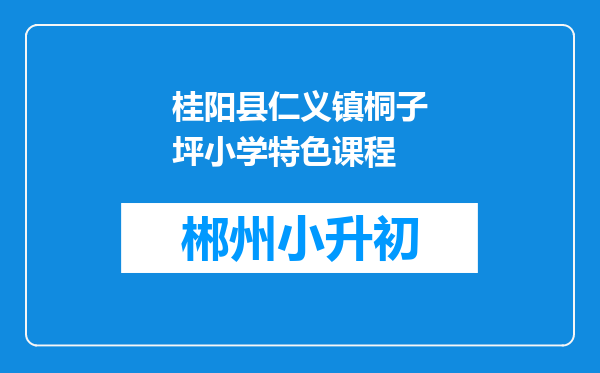 桂阳县仁义镇桐子坪小学特色课程