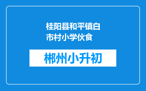 桂阳县和平镇白市村小学伙食