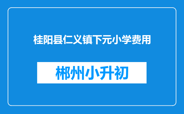 桂阳县仁义镇下元小学费用