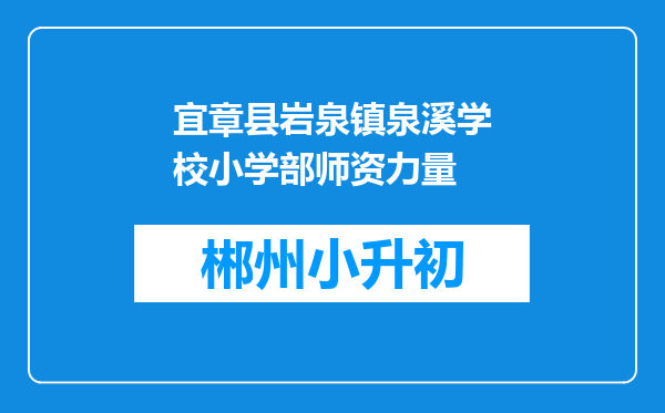 宜章县岩泉镇泉溪学校小学部师资力量