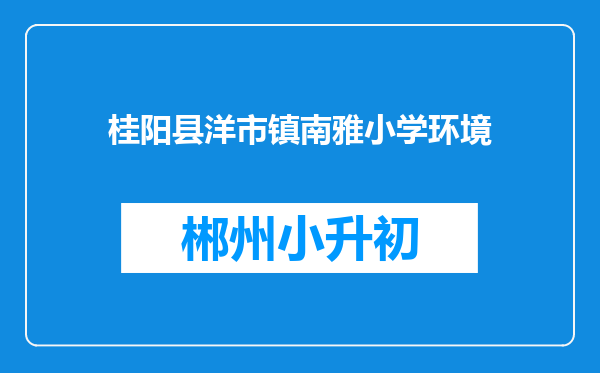 桂阳县洋市镇南雅小学环境