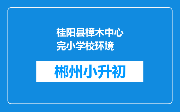 桂阳县樟木中心完小学校环境