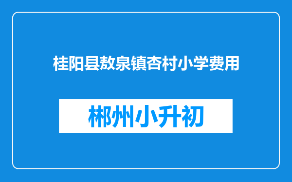 桂阳县敖泉镇杏村小学费用