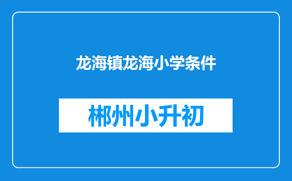 龙海镇龙海小学条件