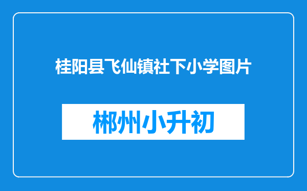 桂阳县飞仙镇社下小学图片