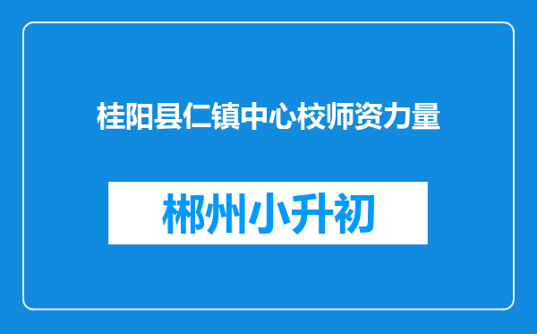 桂阳县仁镇中心校师资力量