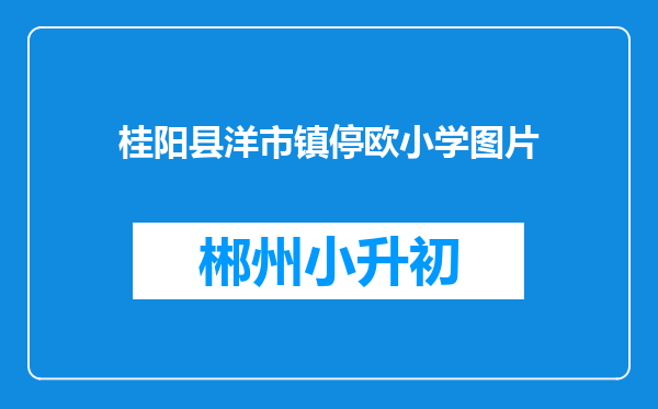 桂阳县洋市镇停欧小学图片