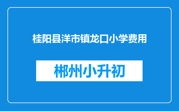 桂阳县洋市镇龙口小学费用