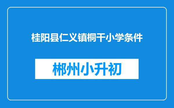 桂阳县仁义镇桐干小学条件