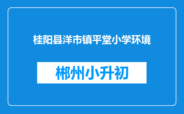 桂阳县洋市镇平堂小学环境