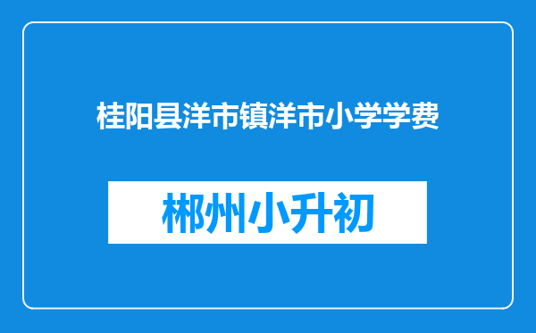 桂阳县洋市镇洋市小学学费
