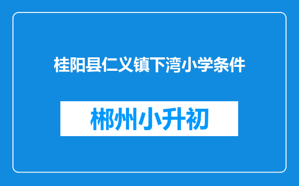 桂阳县仁义镇下湾小学条件