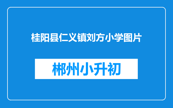 桂阳县仁义镇刘方小学图片