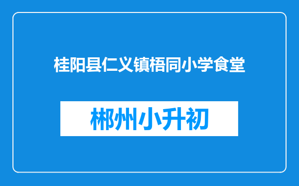 桂阳县仁义镇梧同小学食堂