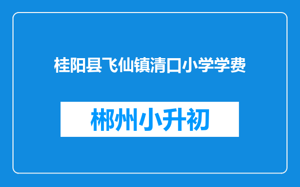 桂阳县飞仙镇清口小学学费