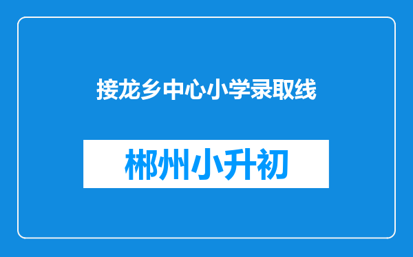 接龙乡中心小学录取线