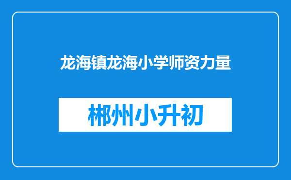 龙海镇龙海小学师资力量