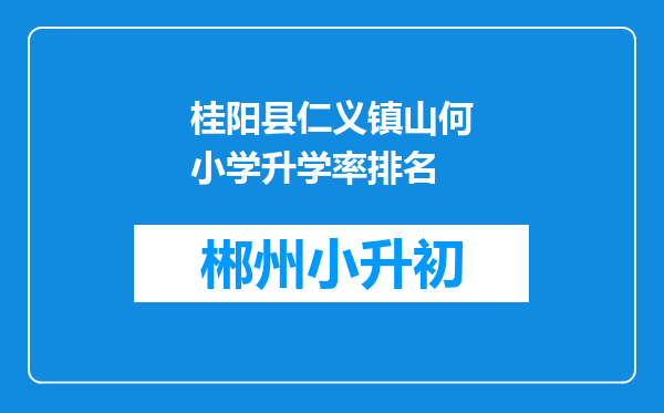 桂阳县仁义镇山何小学升学率排名
