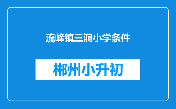 流峰镇三洞小学条件
