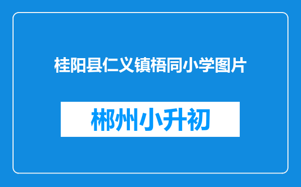 桂阳县仁义镇梧同小学图片