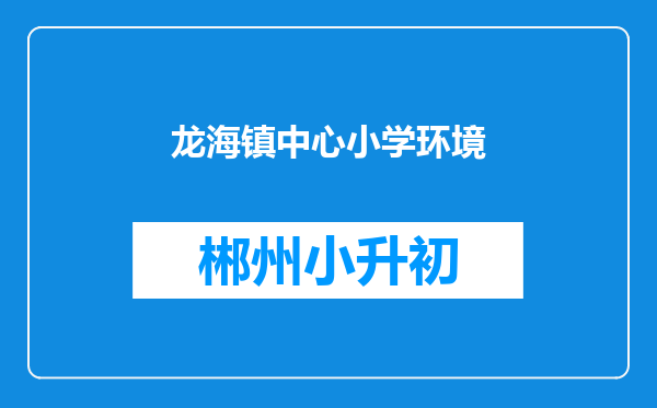 龙海镇中心小学环境