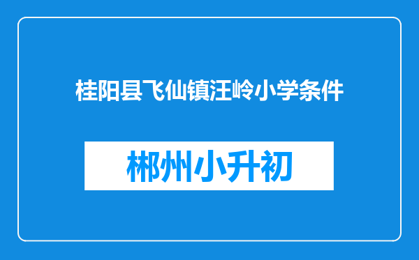 桂阳县飞仙镇汪岭小学条件