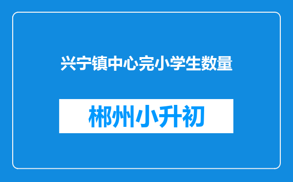 兴宁镇中心完小学生数量