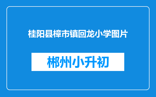 桂阳县樟市镇回龙小学图片