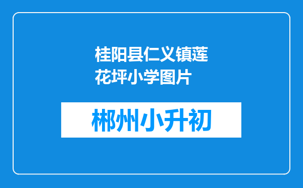 桂阳县仁义镇莲花坪小学图片