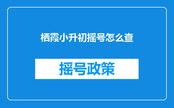 栖霞小升初摇号怎么查