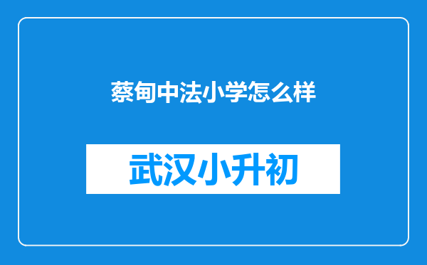 蔡甸中法小学怎么样