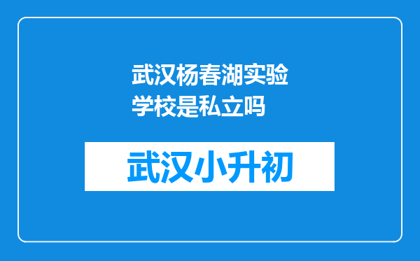 武汉杨春湖实验学校是私立吗