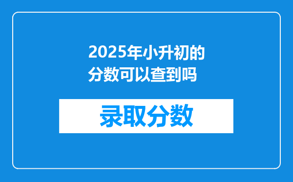 2025年小升初的分数可以查到吗