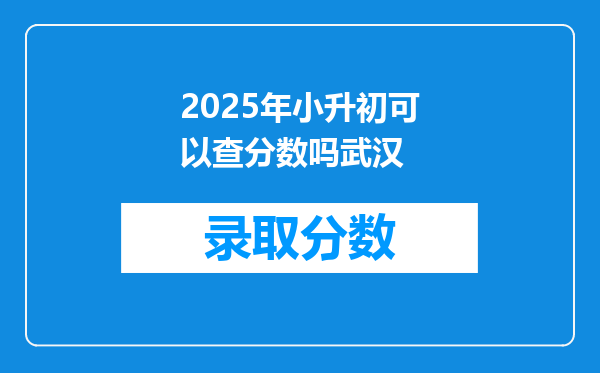 2025年小升初可以查分数吗武汉