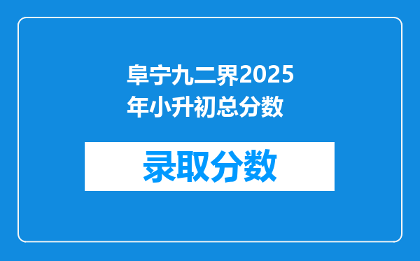 阜宁九二界2025年小升初总分数
