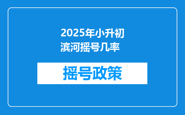 2025年小升初滨河摇号几率