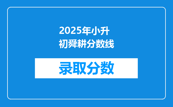 2025年小升初舜耕分数线